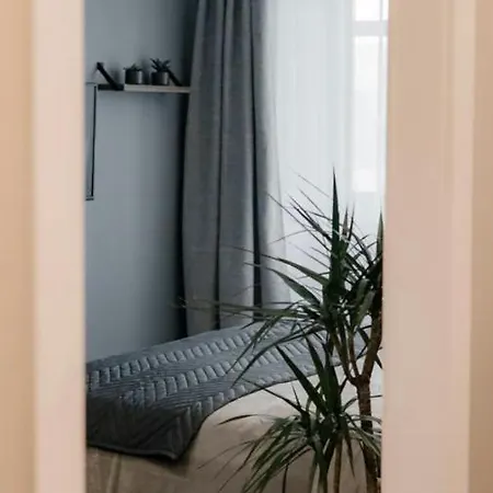 Comfortable In Apartment